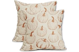 Aytipun Fall Pillow Covers 18x18 Set of 2 Burnt Orange Pumpkin Autumn Thanksgiving Harvest Decorative Throw Pillows Outdoor Cushion Case Sofa Couch Bed Decor