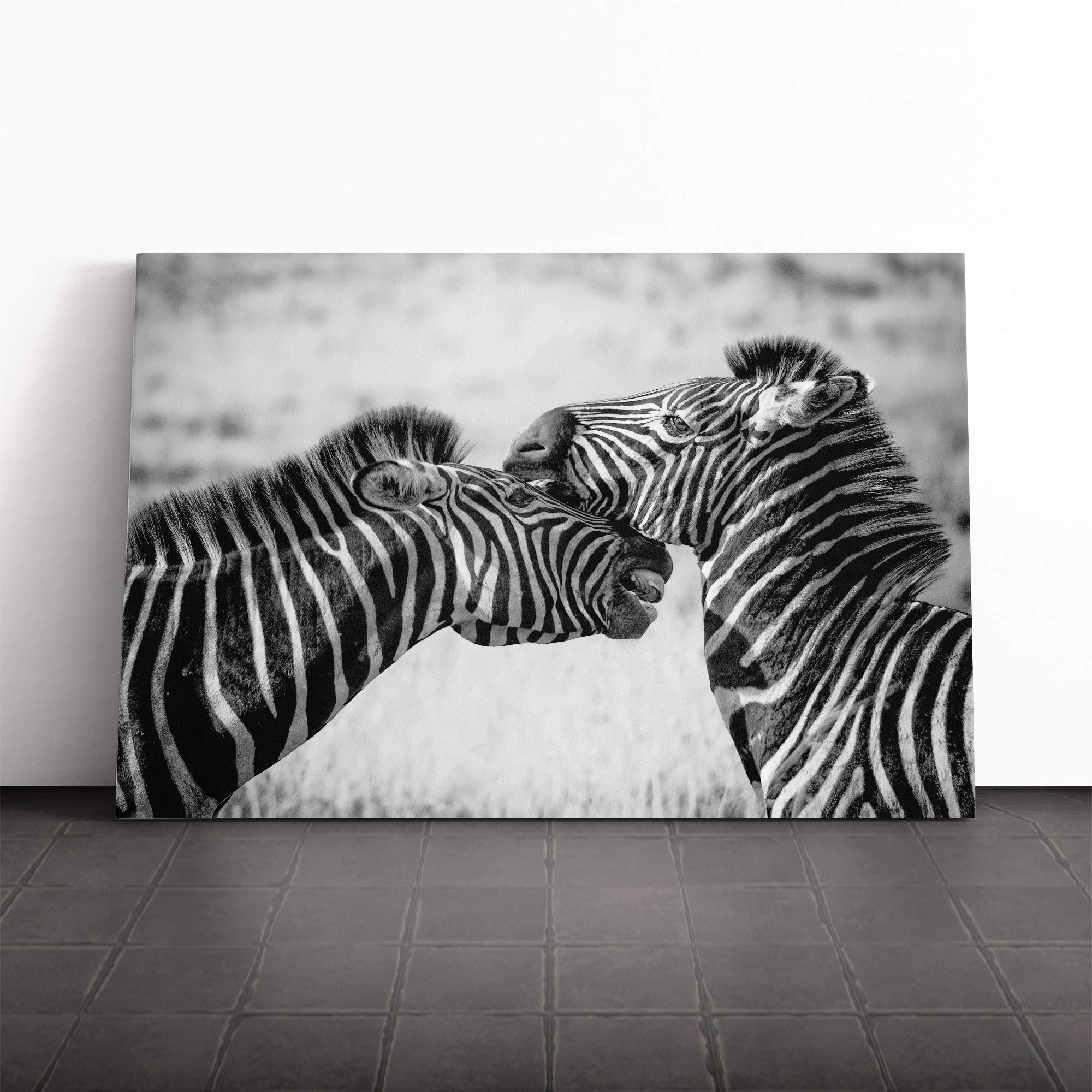 Two Zebras Canvas Print | Gallery Wrapped 30mm Frame Wall Art | 20x14 inches | Ready to Hang | Modern Animal Picture | Living Room Bedroom Lounge Office