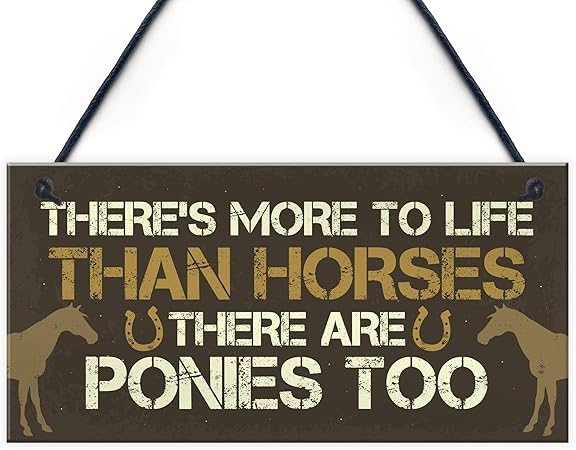 pony gifts for girls