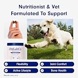 PetLab Co. Joint Care Chews – Daily Dog Joint Supplements for Mobility view 7