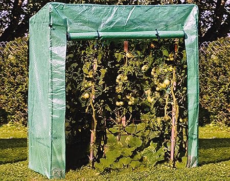 Polar Uni Tomatengewachshaus Foliengewachshaus Mini Gewachshaus Treibhaus 170 X 80 X 190cm Amazon De Garten