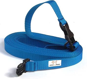 10 metre extendable dog lead