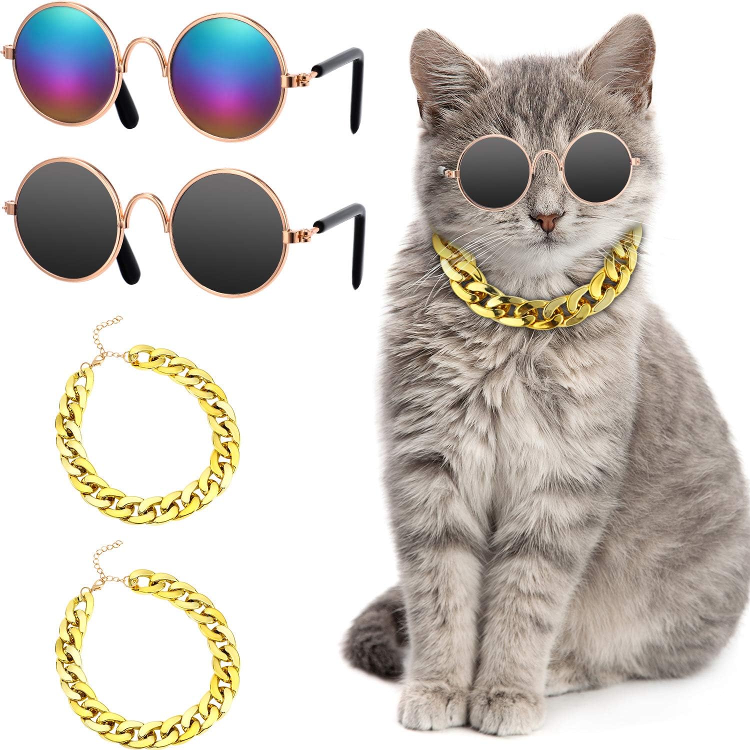 cat collar gold chain