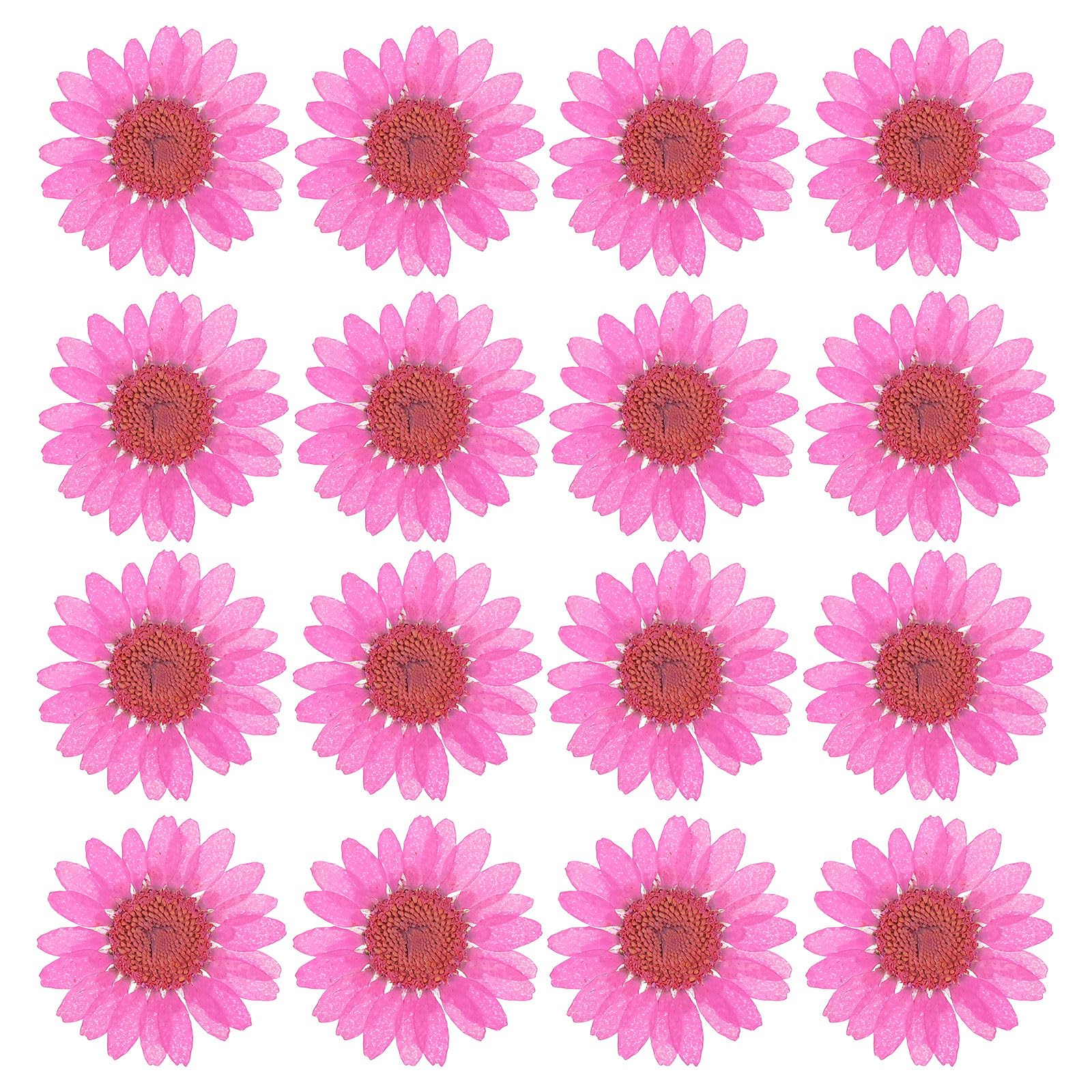 PATIKIL 48 Pcs Dried Pressed Flower Natural Dried Daisy Flower for DIY Art Crafts House Decoration Nails Decoration,Rose Red