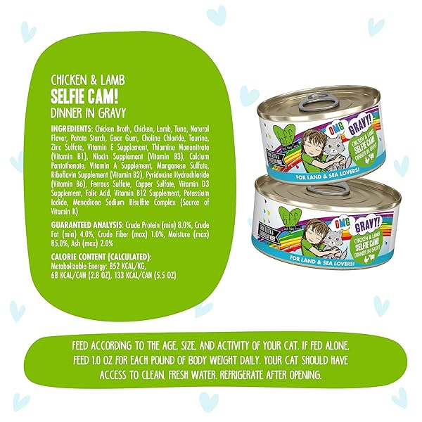 WERUVA B.F.F. OMG – BEST FELINE FRIEND OH MY GRAVY!, SELFIE CAM! WITH CHICKEN & LAMB IN GRAVY CAT FOOD, 2.8OZ CAN (PACK OF 12)