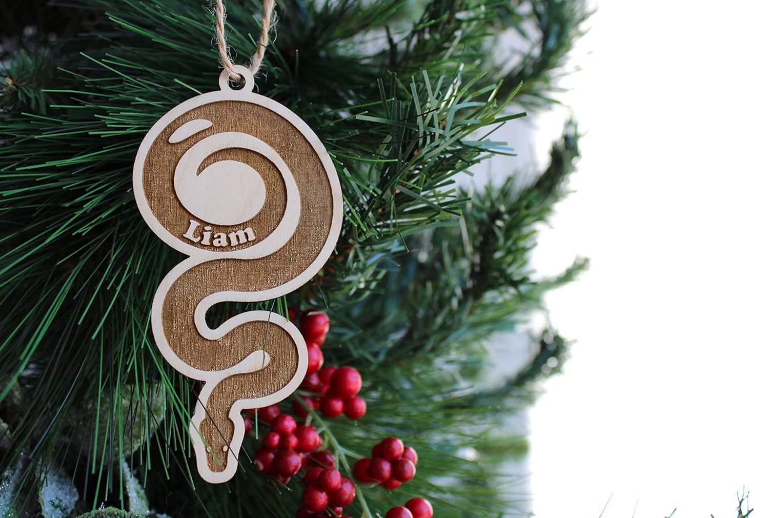 Personalized Snake Christmas Ornament Name