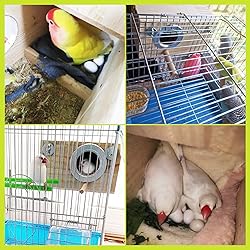 kathson Parakeet Nest Box Budgie Nesting House