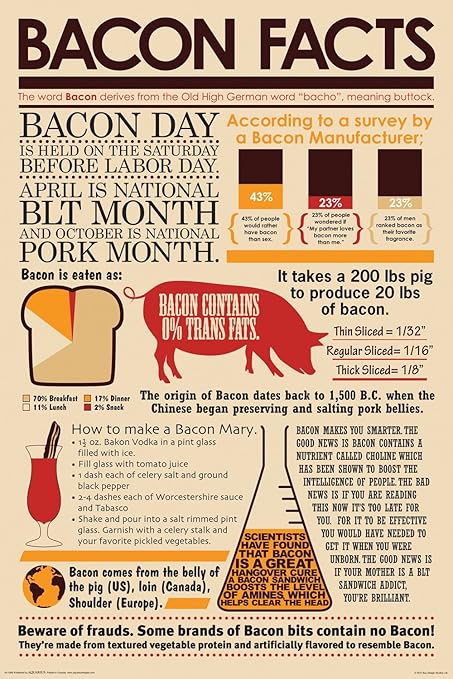 Nmr 241089 Bacon Facts Decorative Poster Amazon Co Uk Kitchen Home