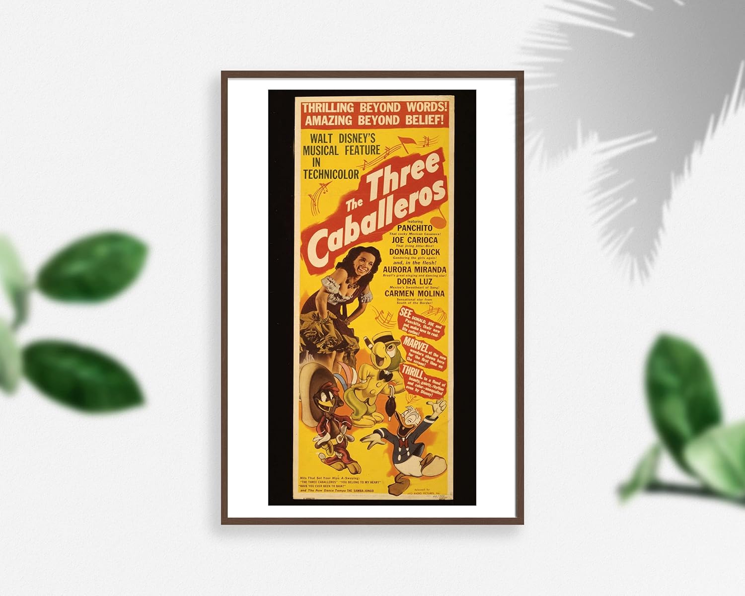 Photographs - INFINITE PHOTOGRAPHS Photo: Three caballeros, Donald Duck, Panchite, Joe Barioca, c1944 Size: 8x10 (approximately)