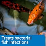 API Pond Melafix Pond Fish Bacterial Infection Remedy 473 ml view 3