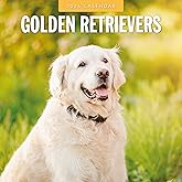 Red Robin 2026 Golden Retrievers Monthly Wall Calendar | 12" x 24" Open | Premium Thick & Sturdy Paper | Hangable 12 Month Calendar | Lined Notes & To Do Area | Vivid Images | Plastic Free