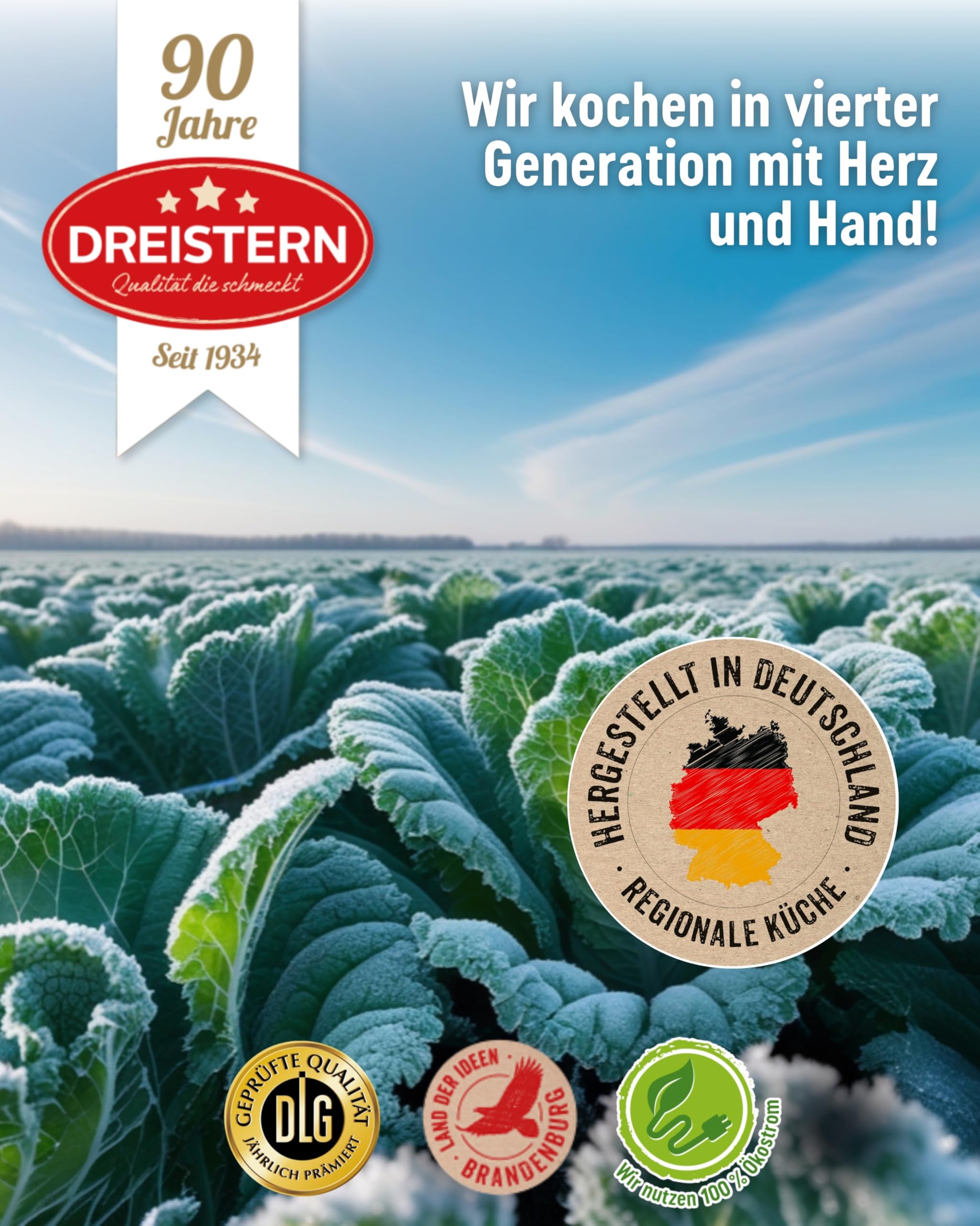 DREISTERN Chili con Carne 1200g I Mit Schweinefleisch & Gemüse I XXL Pikanter Eintopf in recyclebarer Konservendose I Lange Haltbarkeit dank natürlicher Konservierung I Hausmacher Qualität 7