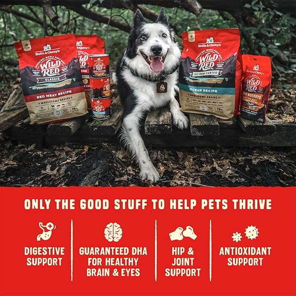 STELLA & CHEWY’S WILD RED DRY DOG FOOD RAW BLEND HIGH PROTEIN GRAIN & LEGUME FREE RED MEAT RECIPE, 3.5 LB. BAG