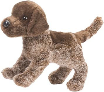 toys for german shorthaired pointer