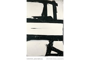 Ozone Journal (Phoenix Poets)