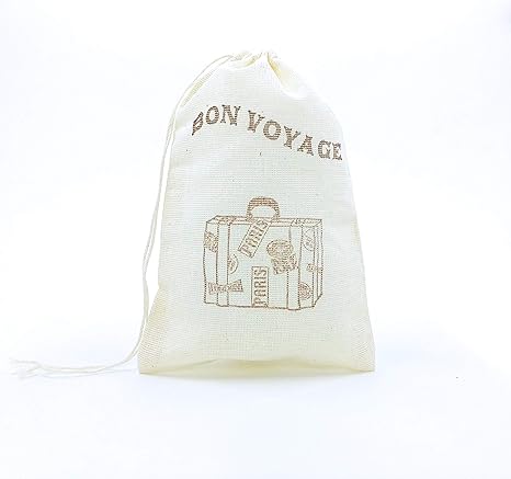 bon voyage paris bag