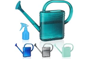 GEGEMAOYI Watering Can for Indoor Plants, Small Watering Cans with Long Spout, Outdoor Plant Watering Can for Plants, Flowers 2L 1/2Gallon
