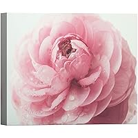 SIGNWIN Canvas Wall Art A Beautiful Blush Pink Cabbage Rose Detail Floral Flower Photography Modern Art Romantics Closeup Relax/Calm Duotone for Living Room, Bedroom, Office - 12x18 inches