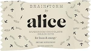 Alice Mushrooms Brainstorm Mushroom Chocolate Sgl, 0.25 OZ