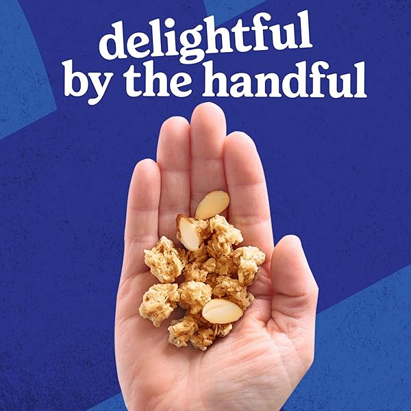 KELLOGG’S EXTRA GRANOLA, WHOLE GRAIN, ON-THE-GO SNACKS, TOASTED ALMOND, 11OZ BAG (1 BAG)