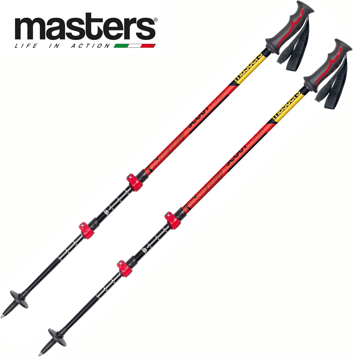 masters ski poles