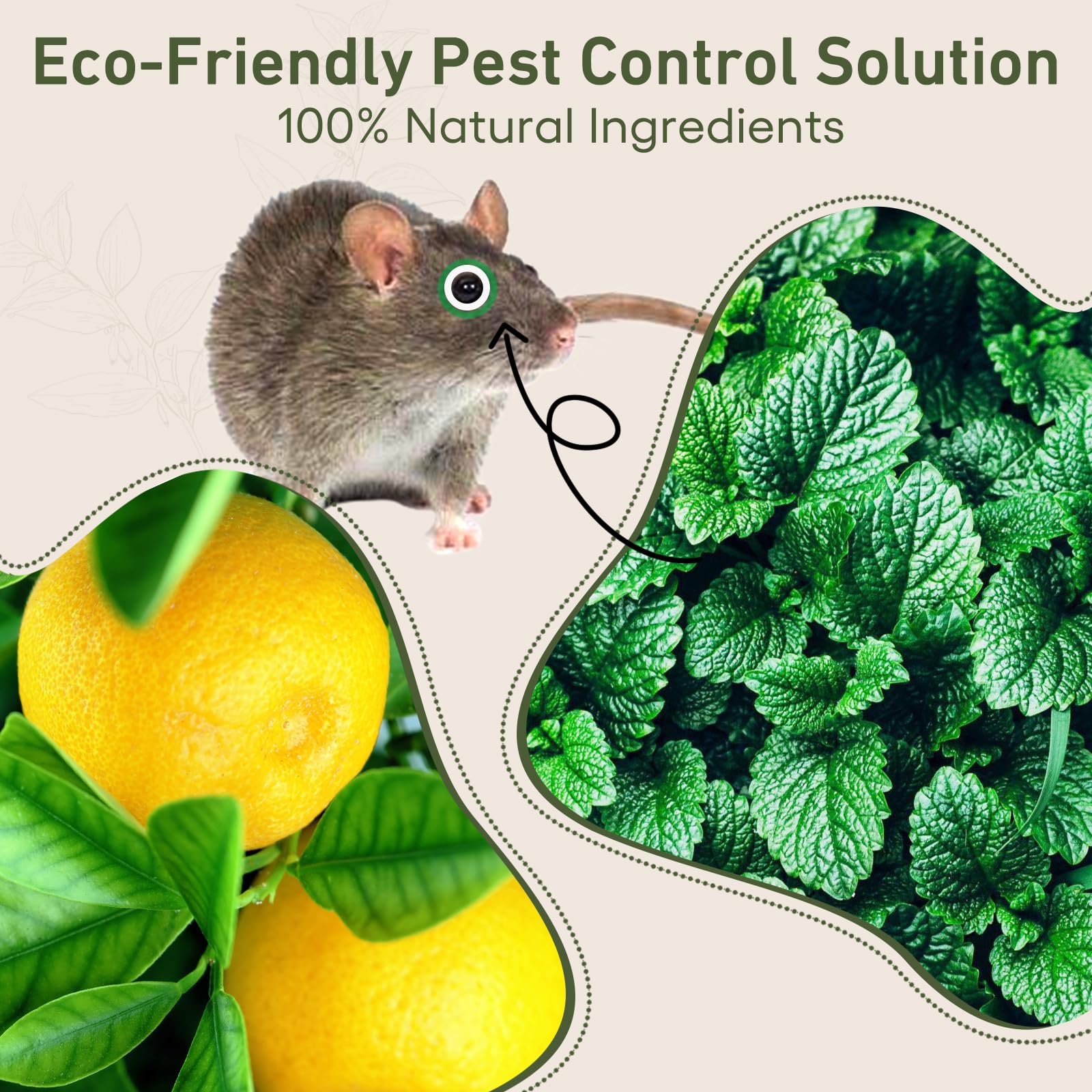Photo 1 of Pest Rodent Repellent, 24 Pack Peppermint Oil for Mice, Mouse, Rats, Spider, Roach, Ant, Bugs, Squirrel, Insect Control Indoor & Outdoor, Natural Mouse Deterrent Replace Traps Family & Pet Safe