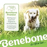 Benebone Four Pack Small Dog Chews Wishbone Fishbone Zaggler Maple Stick view 7
