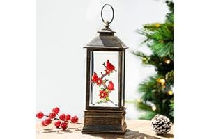 ZQQLITE Christmas Snow Globe Lantern Indoor Decor Cardinal with Music,6H Timer,USB Lined/Battery Operated Lighted Lantern for Christmas Festival Decoration Giftsts