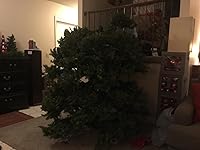 Review Image by sherian