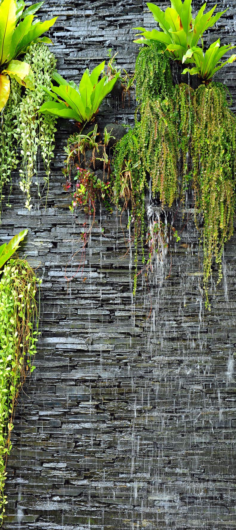 AG DESIGN Photo Wallpaper/Giant Wall Poster, Non-Woven, Multi-Colour, 90 x 202 cm