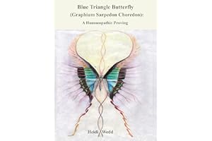 Blue Triangle Butterfly (Graphium Sarpedon Choredon): A Homeopathic Proving