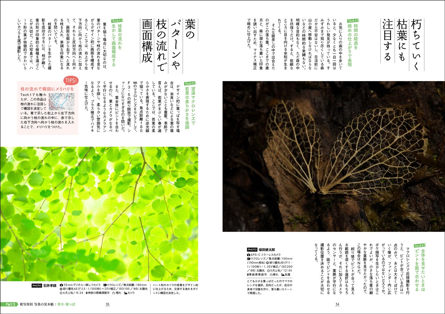 デジタルカメラ小さな自然の写し方 玄光社mook 石井孝親 知来 要 福田健太郎 前田絵理子 本 通販 Amazon