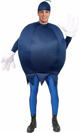 blueberry baby outfit