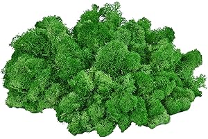 TAIKUU 久の物 3.5OZ Moss Preserved Artificial Moss Fake Moss Reindeer Moss for Craft Arts Floral Project Planters Table Decor Wedding Garden Terrariums Decoration