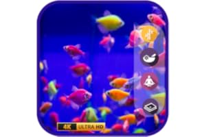Aquarium Simulator: Peaceful Marine Life Screensaver for Relaxation