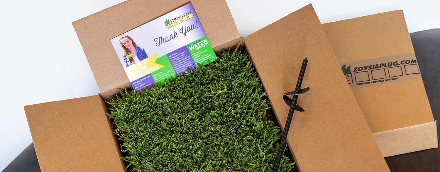 Zoysia Plugs 50 Large Zoysia Grass Plugs & Auger Starter Package Garden & Outdoor