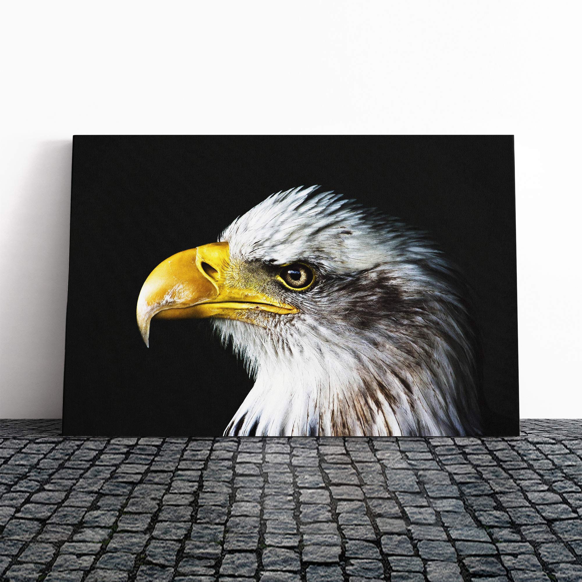Eagle Bird (1) Canvas Print | Gallery Wrapped 30mm Frame Wall Art | 20x14 inches | Ready to Hang | Modern Animals Picture | Living Room Bedroom Lounge Office