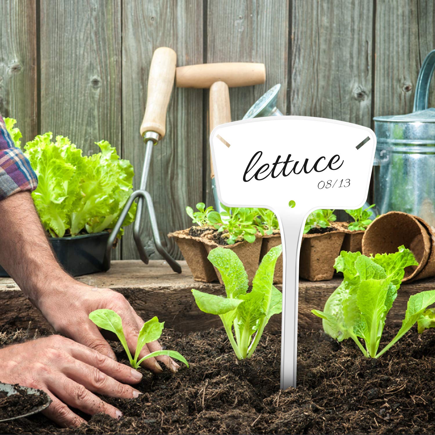 HOMENOTE 25 Etiquetas de plástico para Plantas, tamaño Grande ...