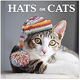Hats on Cats