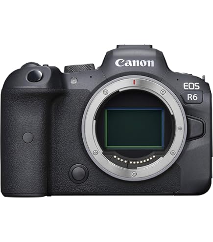 Amazon.com : Canon EOS R6 Full-Frame Mirrorless Camera with 4K 