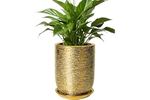 SUNPOTFOR Indoor Plant Pot 8 Inch - Ceramic Planter for Indoor Outdoor Flowers, Round Modern Flower Pot with Drainage Hole an