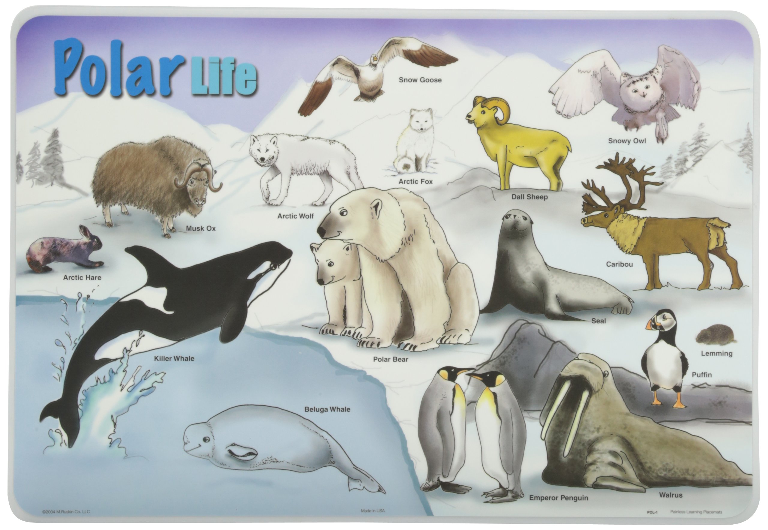 Painless Learning Polar Life Placemat, Large