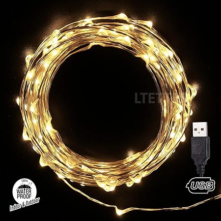 LTETTES 10 Meters 100 LED Silver Wire USB Powered Copper Wire Decorative Fairy String Lights