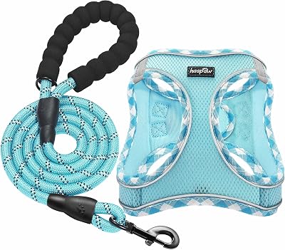 haapaw Dog Harness and Lead Set No Pull Reflective Step-in Adjustable Harness