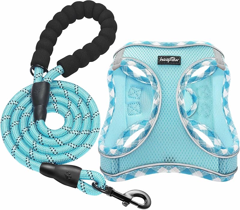 haapaw Dog Harness and Lead Set No Pull Reflective Step-in Adjustable Harness