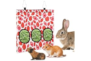 Jeffdad Rabbit Hay Feeder, Hanging Hay Feeder Guinea Pig Hay Bag Rabbit Feeder Storage Bag, for Rabbits Chinchillas Hamsters Rats and Other Small Pets (2 Holes Strawberry)