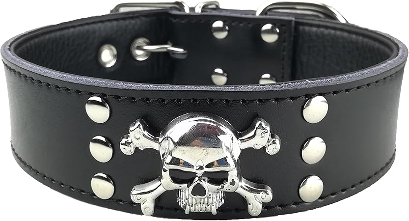 leather skull dog collar