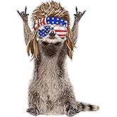 STICKY DUDE Rocking Raccoon Sticker, Funny Raccoon Cute Car Decal, 5 inches - Yeti Cup Vinyl Cooling Box, Waterproof Sticker, Decal Car Laptop Wall Window Bumper Sticker (B)