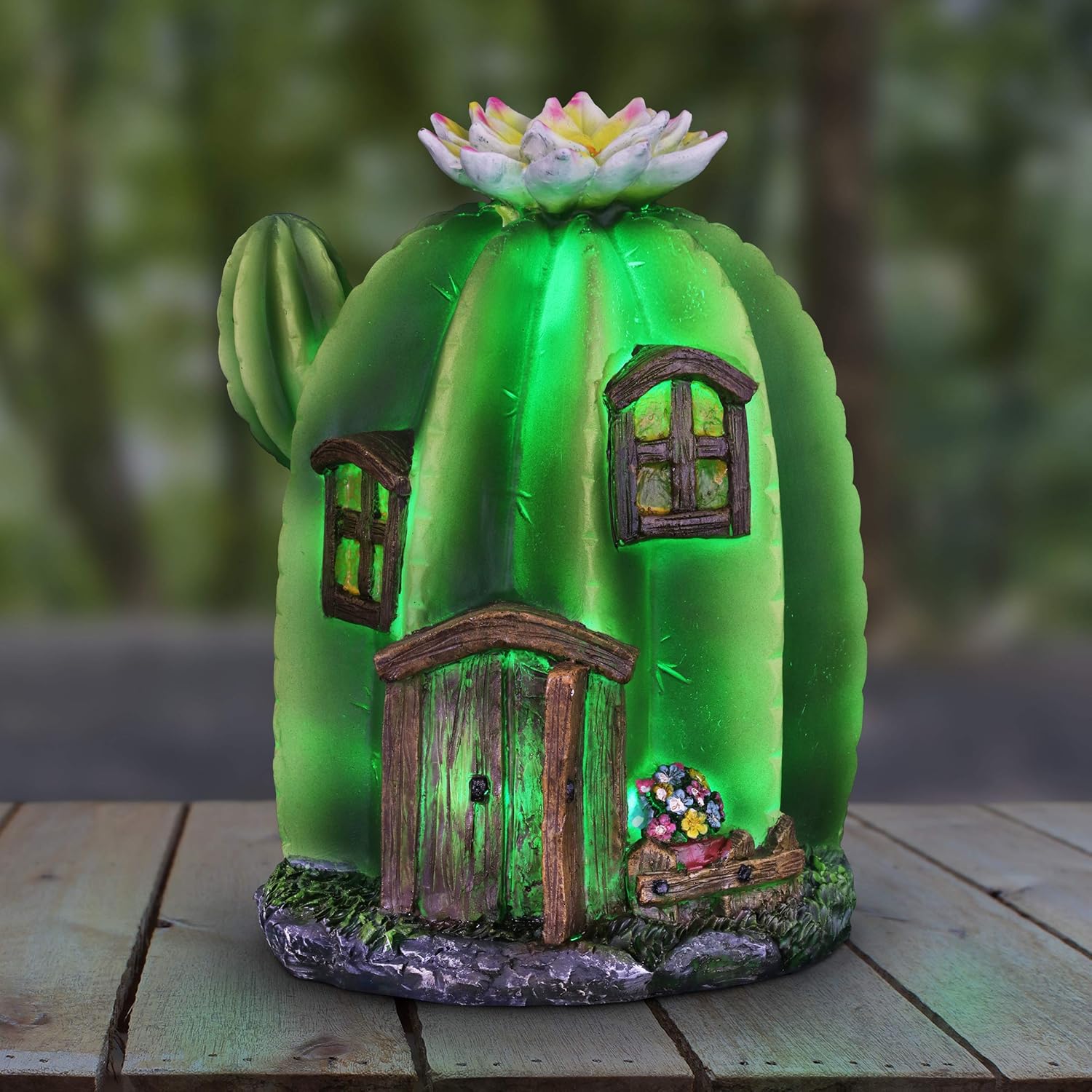 Best cacti fairy garden