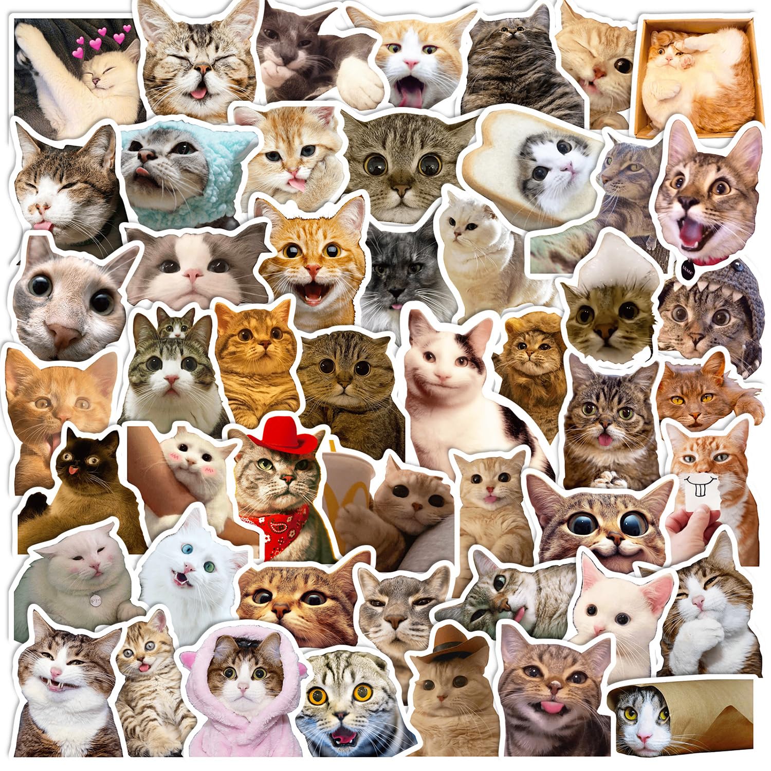 Photo 1 of 100 Pcs Cute Cat Stickers for Kids, Waterproof for Kids,Vinyl for Water Bottle,Laptop,Phone,Skateboard Stickers for KidsTeens Girls and Boys